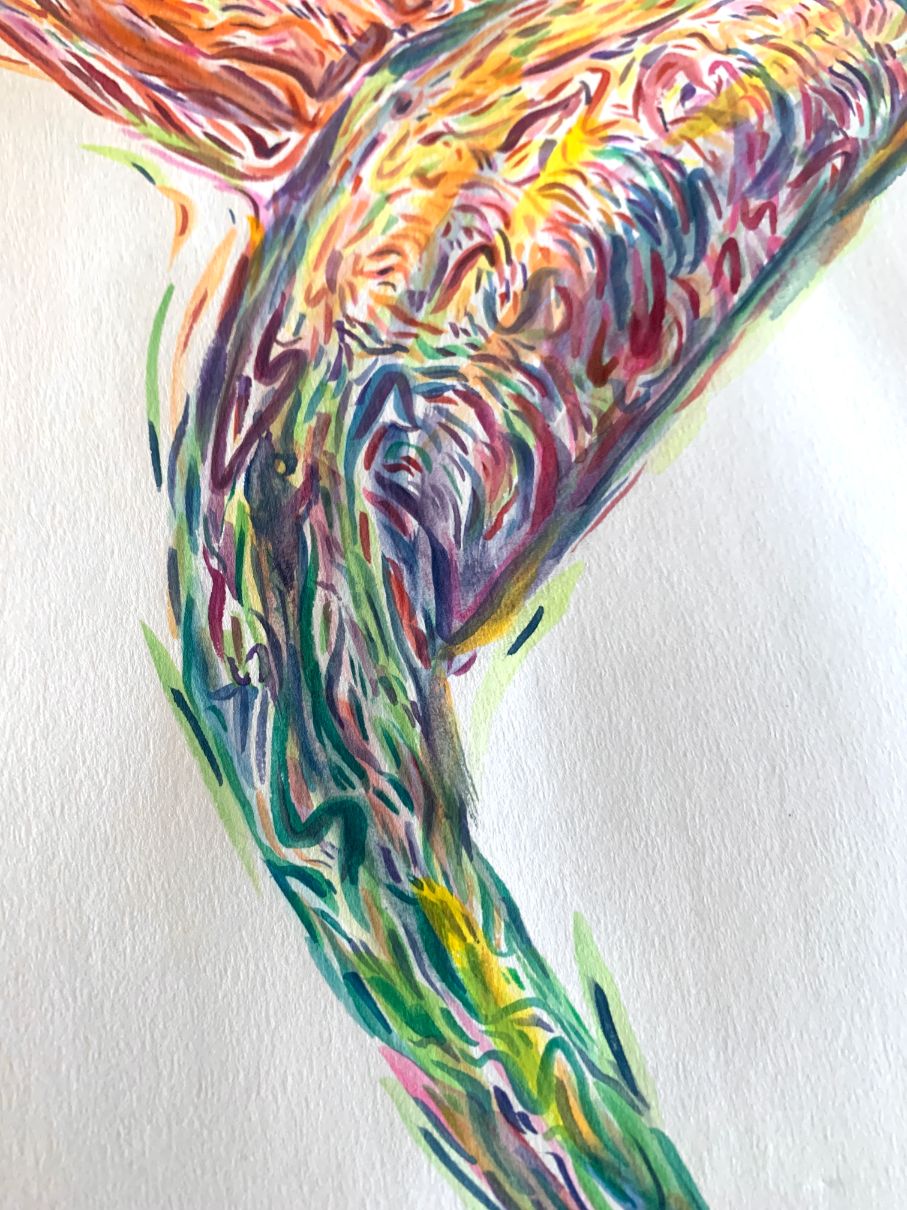 Bird of Paradise Original | 11" x 14" Watercolor on paper