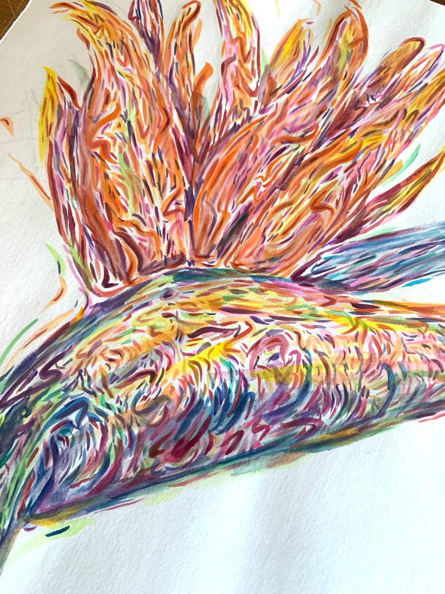 Bird of Paradise Original | 11" x 14" Watercolor on paper
